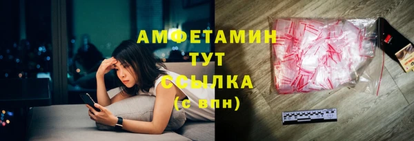 сатива Беломорск