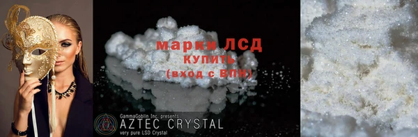 сатива Беломорск