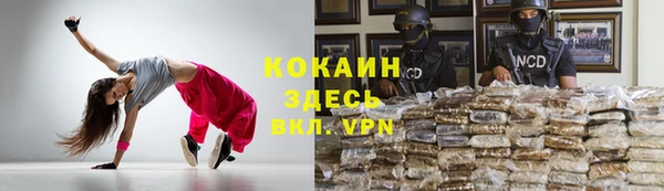 мдпв Богданович