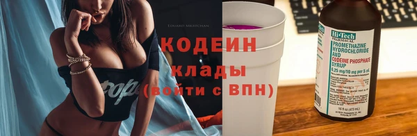 гидра Богородицк