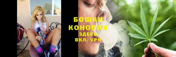 сатива Беломорск