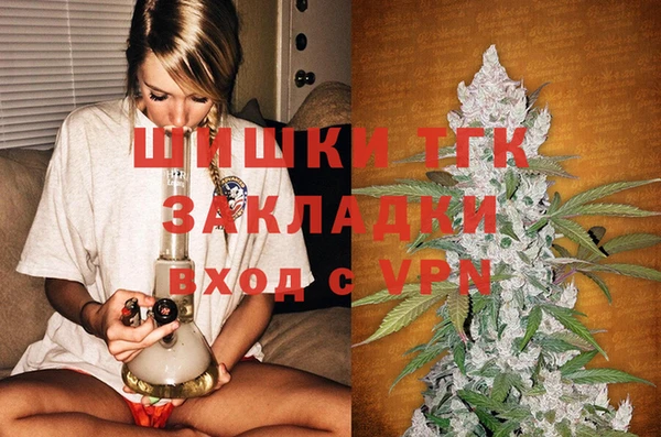гидра Богородицк