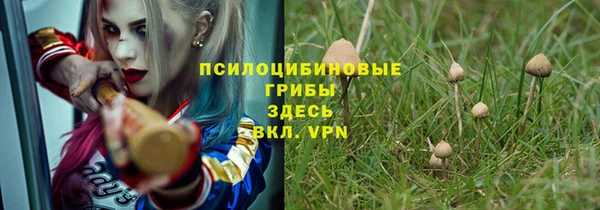 гидра Богородицк