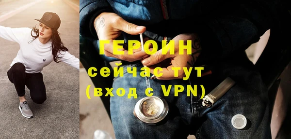 гидра Богородицк