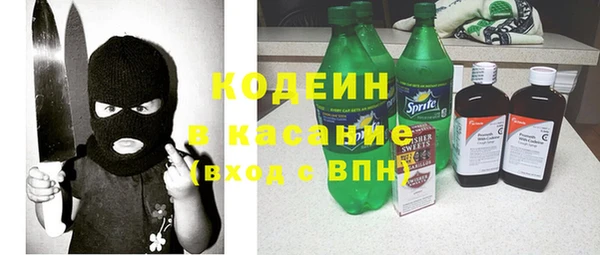 гидра Богородицк
